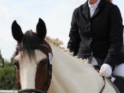 IMG_0877_web